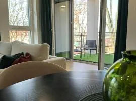 Cozy Bear Apartments with parking