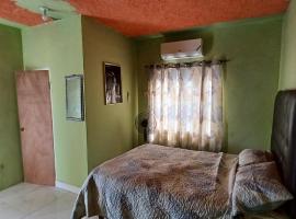 Andre's home away from home, hotel in Stanmore