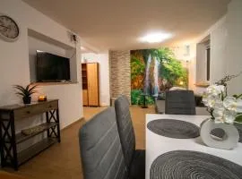 Apartament u Gabrysi