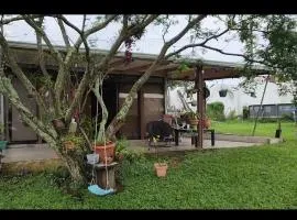 NaheConexión Natural