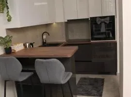 Stan na dan Pancevo 3