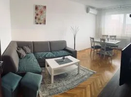 Spacious 2-bedroom apartment in Topoľčianky with parking
