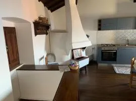 Domus de pedra