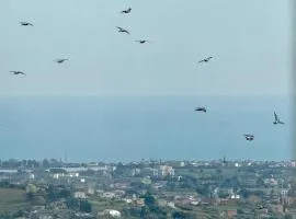 MiraValle Agrigento 2