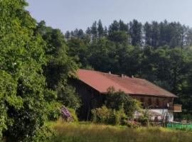 Ferienwohnung Waldrandlage zum Voithenberg, Hotel in Furth im Wald