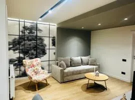 Deluxe Aparthotel Central2