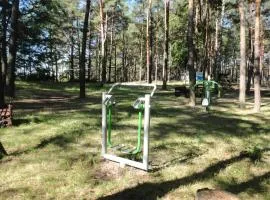 Beach Front Home In Ocypel With Sauna