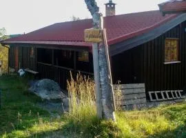 Træhytte Fra 1970'Erne Ved Skovgrænsen I Geilo