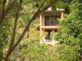 Finca Kapok tree