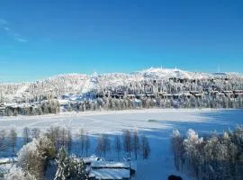 Lomakivakka - Roomy 2BD & loft by the lake, free wifi and sauna