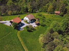 Pet Friendly Home In Mokronog With Sauna, hotel a Mokronog
