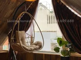 Looking Homestay Sài Gòn - D5, Bình Thạnh