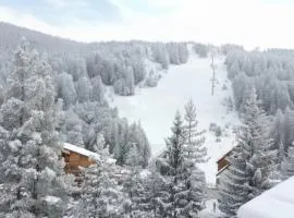 Chalet Near The Slopes Saint Chaffrey