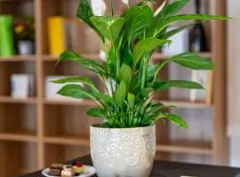 Giusy Home- x 7 Vintage Memories