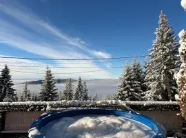 Pensiunea Alpin SPA