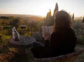 Agriturismo Il Castagnolino