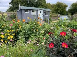 Hut - Sleeps 2 - Petworth House 10 minutes