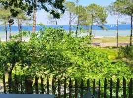 Les Lodges du Lac - Biscarrosse