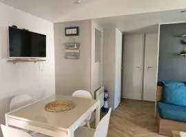 Superbe mobil home 8 personnes camping 4 étoiles