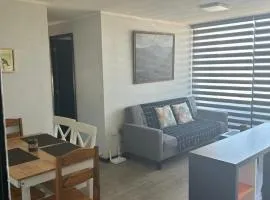 Depto Concepción Factura Empresas