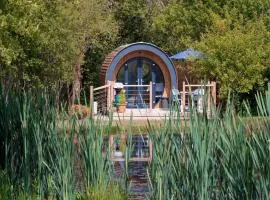 1 Bed in Cribyn 77496