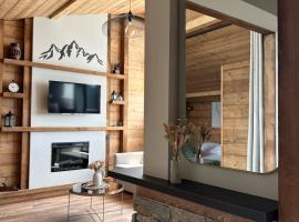 Le Chalet - Appartement avec balnéothérapie, hotel in Annemasse