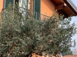 Bnbook Casa degli ulivi
