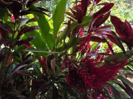 Centro Ecoturistico Ya´ajche, hotel i Lacanjá