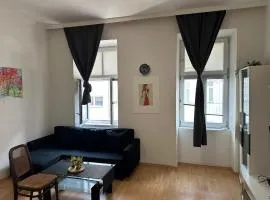 Cozy apartment in the heart of the city