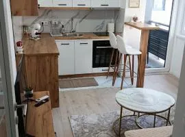 "INKOGNITO Centar" Apartman