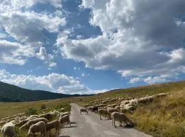 Bioagriturismo La Porta dei Parchi