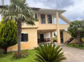Vila Palma