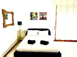 Istria house close to the Pisa tower