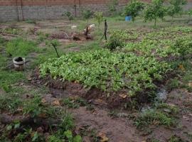 Live like natives, hotel en Ndimbuya Romba