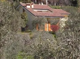 Villa Rocca