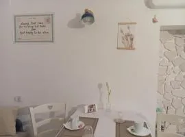 CV MiRa house