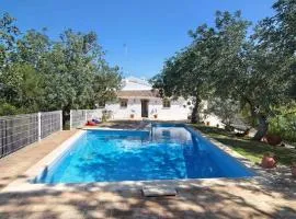 Casa Laranjeira V2