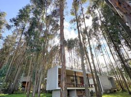 Eucalyptus Forest Villa - The Perfect Escape, Hotel in Cayambe