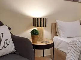 Cozy City Center Apartment