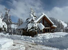 Charmant & confortable chalet 610 pers alt 1600 m, hôtel à Roubion