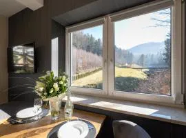 Kurort Kozubnik Daglezja D23 Vista Stay