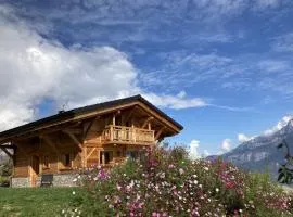 Chalet récent vue panoramique sur le MONT-BLANC