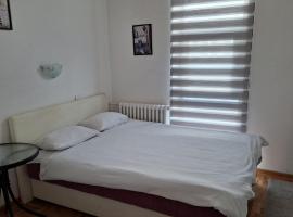 Bela Ruza Rooms For Rent Near Airport, hotel u Beogradu