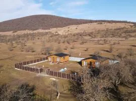 Tianeti Apple Cottages