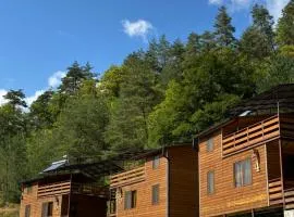 Krikhi Village კრიხი ვილიჯი