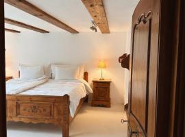 Panoramic apartment with charming swiss interior, hotel v destinaci Wädenswil