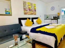 London Studio Apartments, Private Bathroom, Kitchenette, Parking, NP2