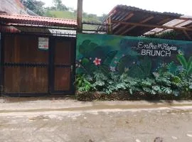 Apartamentos Del Rio