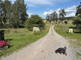 4 person holiday home in ADELSÖ