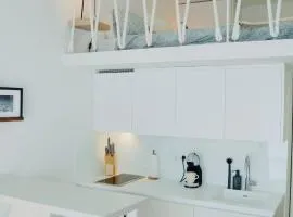 Contemporary loft apartment